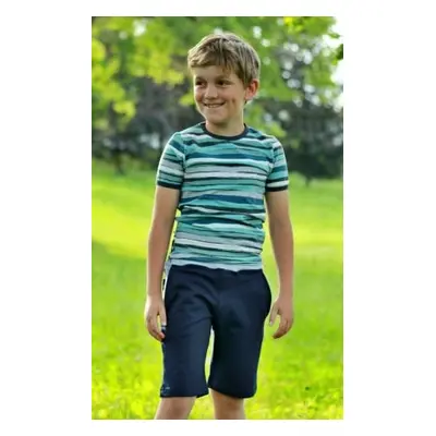 Children's shorts - tm. blue-gray highlights