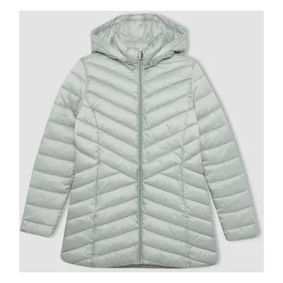 DEFACTO Waterproof Regular Fit Hooded Quilted Puffer Jacket