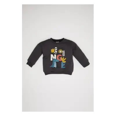 DEFACTO Baby Boy Crew Neck Printed Soft Furry Sweatshirt