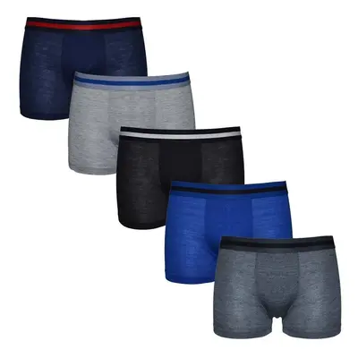 5PACK Kids boxer shorts Gianvaglia multicolor