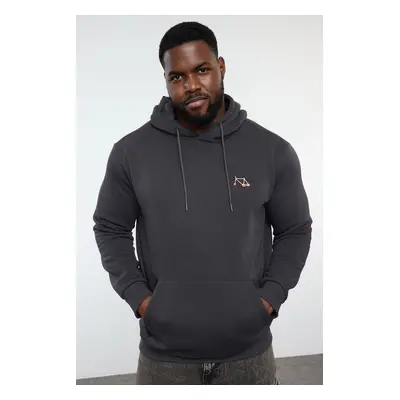 Trendyol Plus Size Anthracite Regular/Normal Cut Hooded Sweatshirt with Polar Fleece Inside