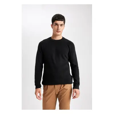 DEFACTO Standard Fit Crew Neck Sweater