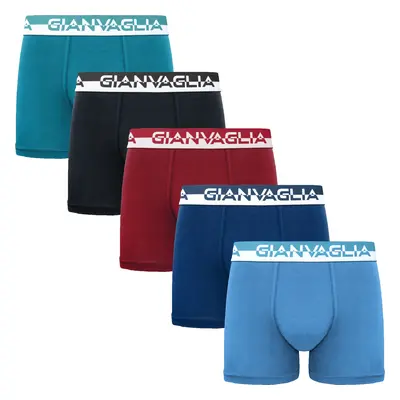 5PACK Men's Boxers Gianvaglia multicolor