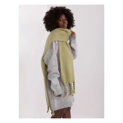 Pistachio Long Winter Scarf