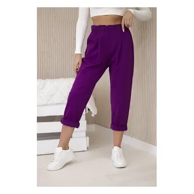 Punto Milano Winter trousers dark purple