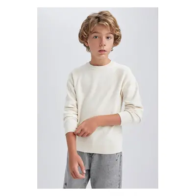 DEFACTO Boy's Crew Neck Cotton Sweater