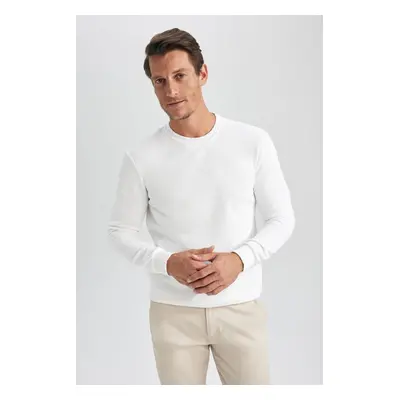 DEFACTO Regular Fit Crew Neck Cotton Basic Sweatshirt