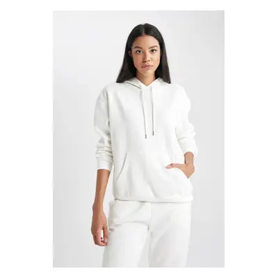 DEFACTO Relax Fit Hooded Thick Basic Sweatshirt