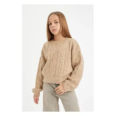 DEFACTO Girls Crop Crew Neck Sweater