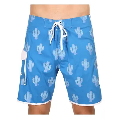 Mens Swimwear 69SLAM desert scene blue theo