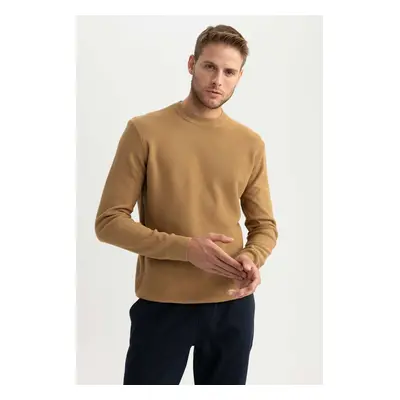 DEFACTO Standard Fit Crew Neck Knitwear Sweater