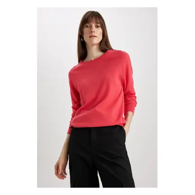 DEFACTO Regular Fit Crew Neck Sweater