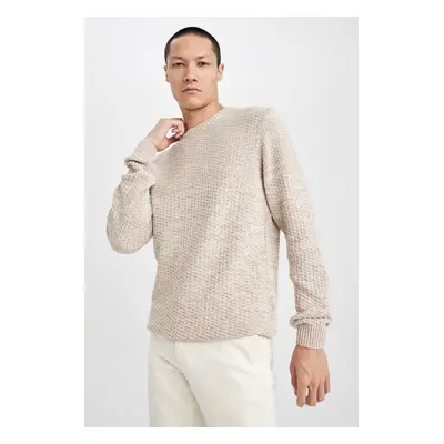 DEFACTO Standard Fit Crew Neck Knitwear Sweater