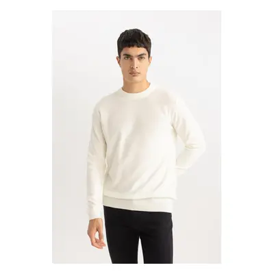 DEFACTO Standard Fit Crew Neck Sweater