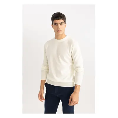 DEFACTO Standard Fit Crew Neck Sweater