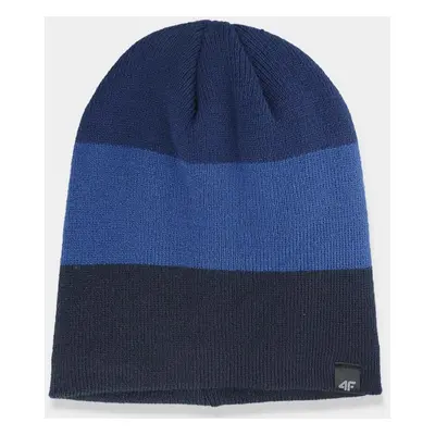 Men's winter hat 4F dark blue