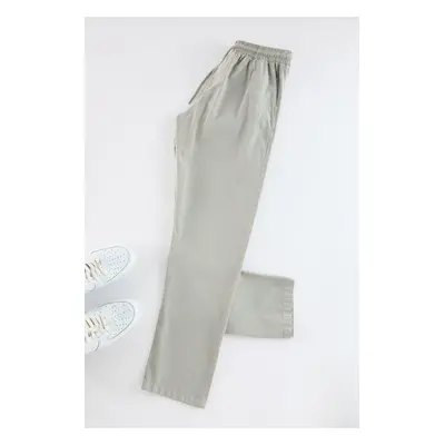 Trendyol Stone Regular Trousers