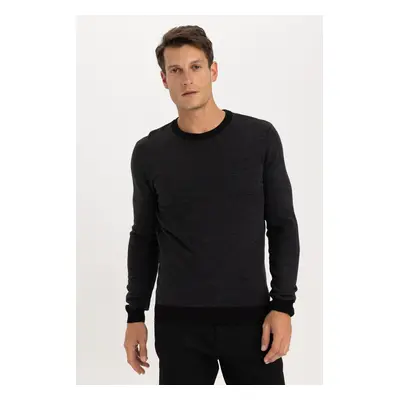 DEFACTO Standard Fit Crew Neck Sweater