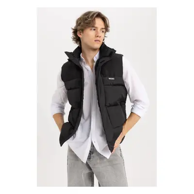 DEFACTO Regular Fit Hooded Vest