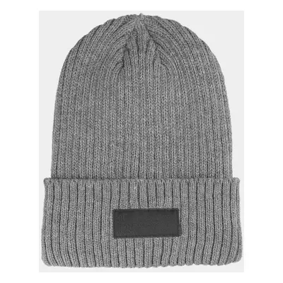 Men's Insulated Winter Hat 4F Grey