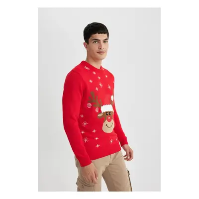 DEFACTO Christmas Themed Standard Fit Patterned Crew Neck Sweater