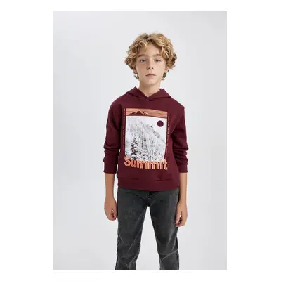 DEFACTO Boy's Hooded Printed Thick Sweatshirt