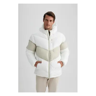 DEFACTO Regular Fit Hooded Puffer Down Coat