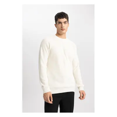 DEFACTO Standard Fit Crew Neck Sweater