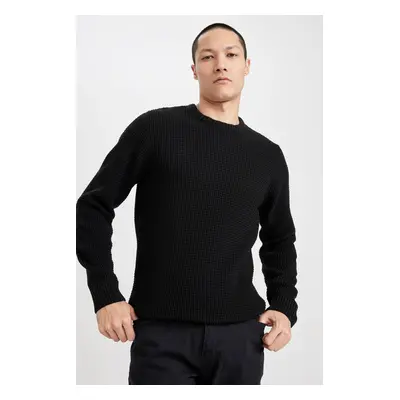 DEFACTO Standard Fit Crew Neck Knitwear Sweater