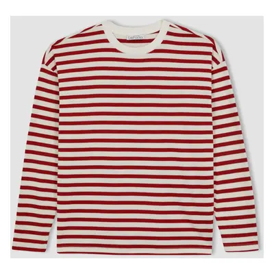 DEFACTO Regular Fit Striped Crew Neck Long Sleeve T-Shirt