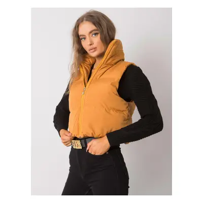 Dark yellow vest with hood