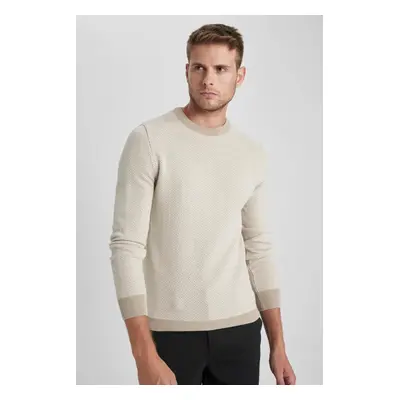 DEFACTO Standard Fit Crew Neck Sweater