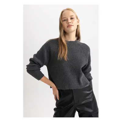 DEFACTO Coool Regular Fit Crew Neck Sweater