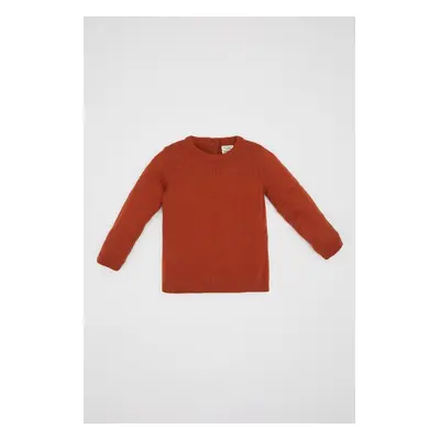 DEFACTO Baby Boy Crew Neck Sweater