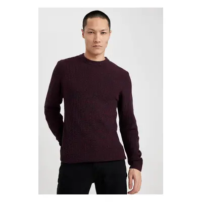 DEFACTO Standard Fit Crew Neck Sweater