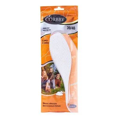 Corbby Fresh Day Year-round Sanitary Liners Pairs