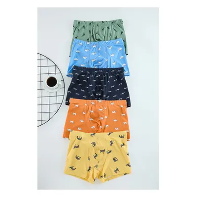 Trendyol Pack Patterned/Plain Pack Boxers