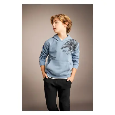 DEFACTO Boy's Printed Hooded Thick Sweatshirt