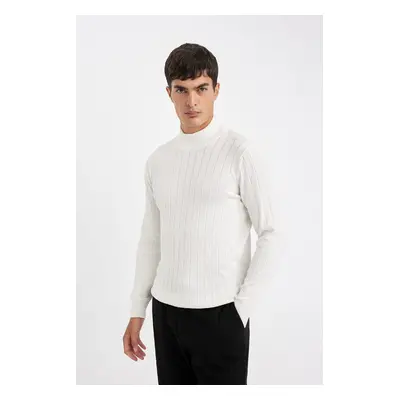 DEFACTO Standard Fit Turtleneck Knit Sweater