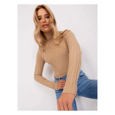 Brown turtleneck sweater