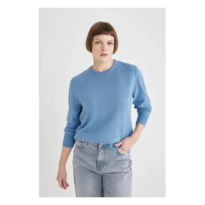 DEFACTO Regular Fit Crew Neck Basic Sweater