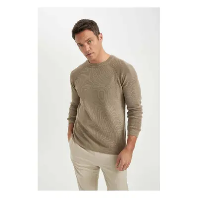 DEFACTO Men's Beige Standard Fit Regular Cut Crew Neck Warm Sweater