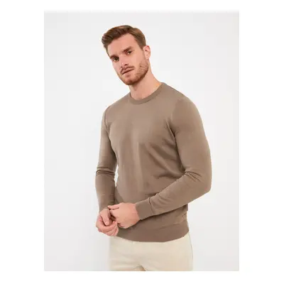 LC Waikiki Crew Neck Long Sleeve Men's Knitwear Sweater