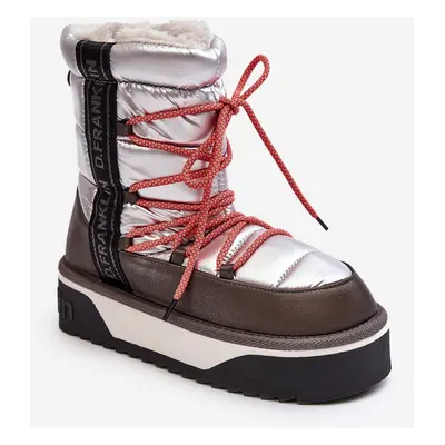 Women's snow boots with thick soles, Vegan D.Franklin Silver