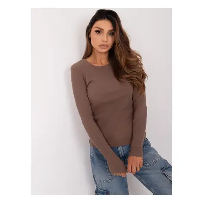 Brown basic blouse with long sleeves