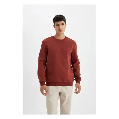 DEFACTO Regular Fit Crew Neck Thick Basic Plain Sweatshirt