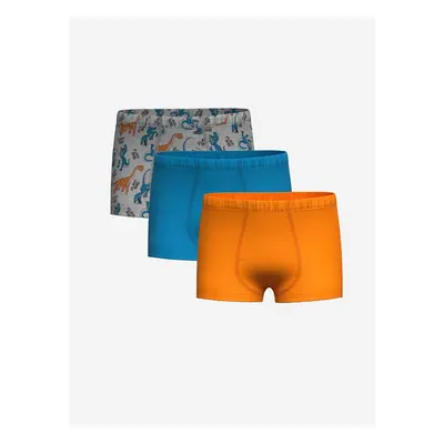 LC Waikiki Printed Boy's Boxer Set of