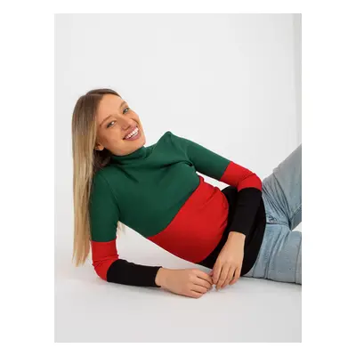 Basic dark green and black ribbed turtleneck blouse