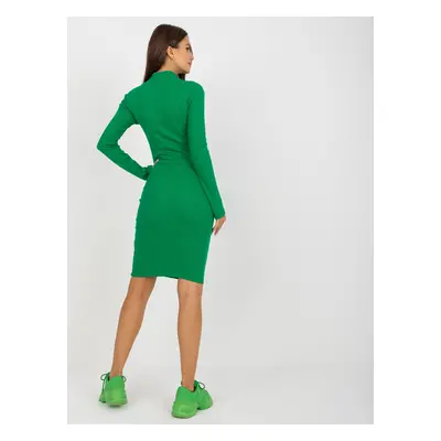 Basic green ribbed turtleneck dress for everyday wear