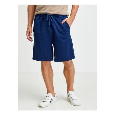 Dark Blue Mens Shorts Lee - Men